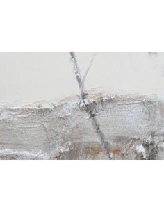 Картина TREES 100x100 2