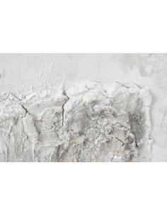 Картина TREES 100x100 2