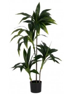 Mākslīgais augs DRACAENA H140