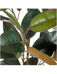 Mākslīgais augs FICUS H125 2