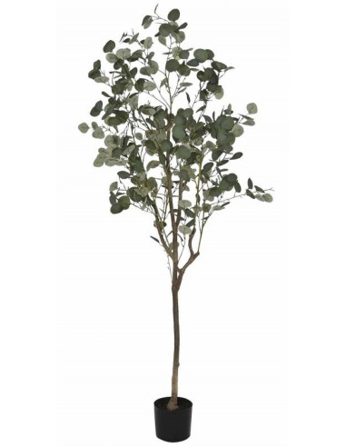 Искусственное растение EUCALYPTUS H180