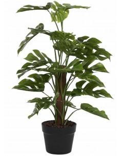Mākslīgais augs MONSTERA H65
