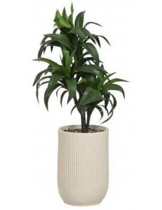 Mākslīgais augs GREEN H100