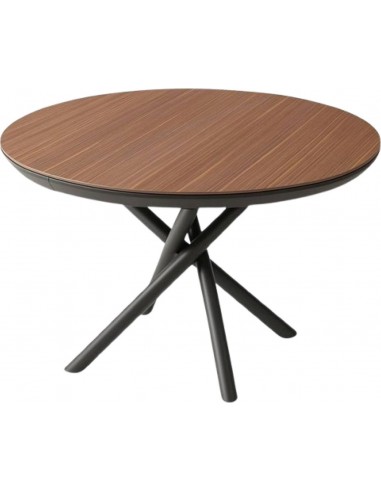 Раздвижной стол OCEAN Ø120(163)x78h...