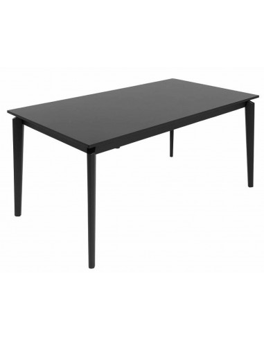 Раздвижной cтол TIAGO 160(220)x90x75h...