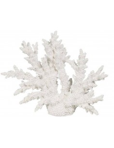 Декорация CORAL