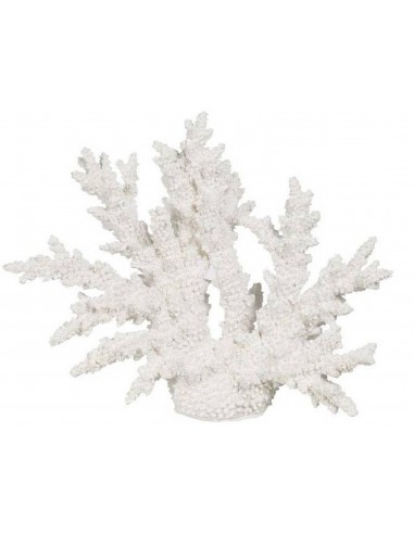 Декорация CORAL