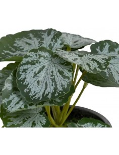 Искусственное растение... 2