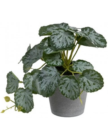 Искусственное растение SAXIFRAGA H22