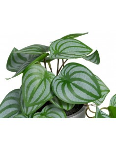 Mākslīgais augs SAXIFRAGA H22 2