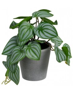 Mākslīgais augs SAXIFRAGA H22