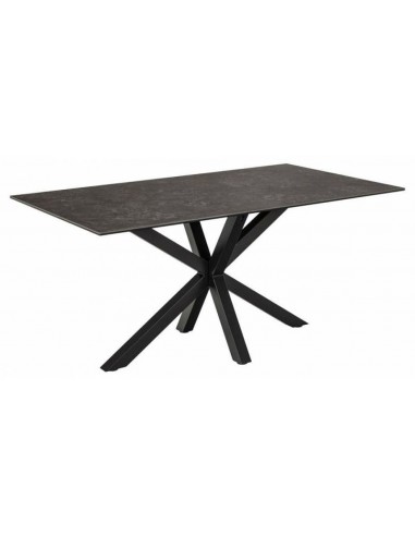 Galds TERRY 160x90x75h tumši pelēks