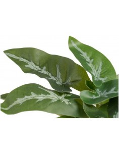 Mākslīgais augs SYNGONIUM H21 2