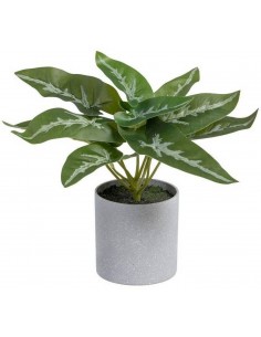 Mākslīgais augs SYNGONIUM H21