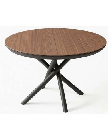 Izvelkams galds OCEAN Ø120(163)x78h...