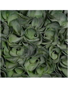 Mākslīgais augs BOSCO Ø37x37h 2