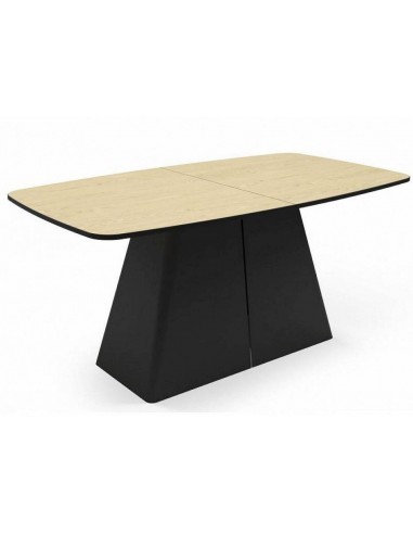 Izvelkams galds AVO 200(276)x110x76h...