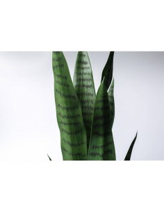 Mākslīgais augs SANSEVIERIA... 2