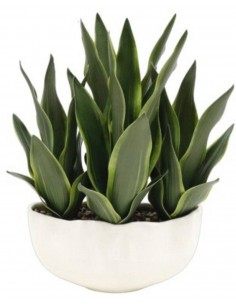 Mākslīgais augs MAGNA...