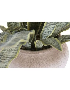 Искусственное растение... 2