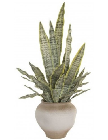 Искусственное растение MAGNA Ø60x100h