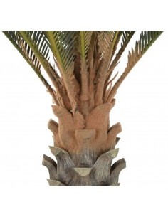 Mākslīgais augs CYCAS Ø80x140h 2