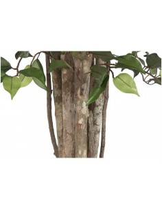 Mākslīgais augs FICUS... 2