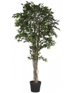 Искусственное растение...