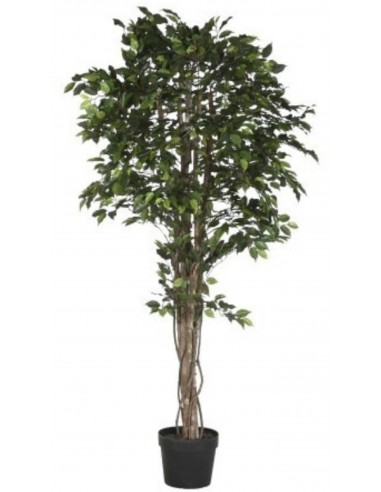 Mākslīgais augs FICUS Ø100x210h