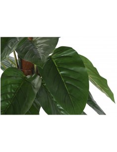 Искусственное растение... 2