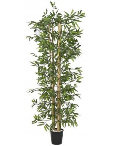 Mākslīgais augs BAMBOO Ø40x180h