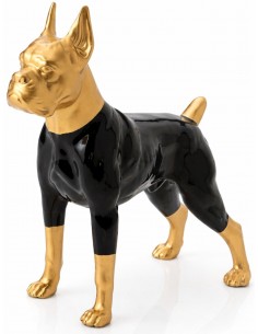 Декорация BOXER