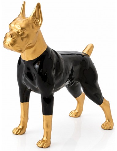 Декорация BOXER