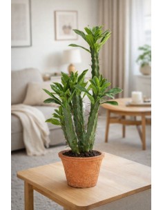 Mākslīgais augs EUPHORBIA H57 2