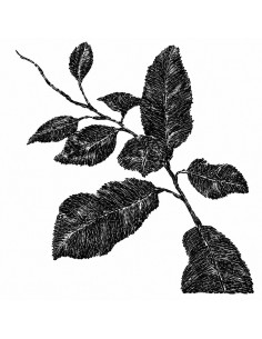 Kартина RAMAS 60x60