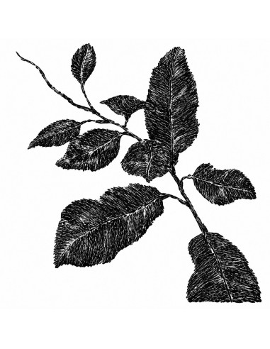 Kартина RAMAS 60x60