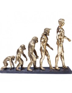 Декорация EVOLUTION