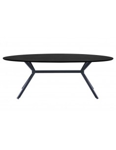 Cтол BRUNO 220x100x75h чёрный 2