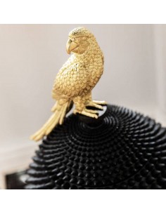 Dekorācija BOX PARROT 2