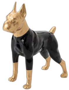 Декорация BOXER