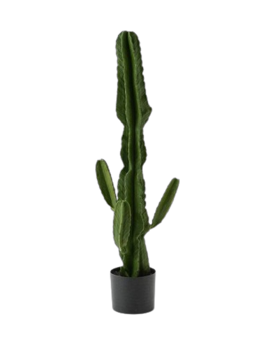 Mākslīgais augs, kaktuss BOLIVIA H110