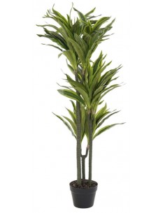 Искусственное растение...