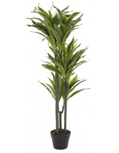 Mākslīgais augs DRACAENA H124