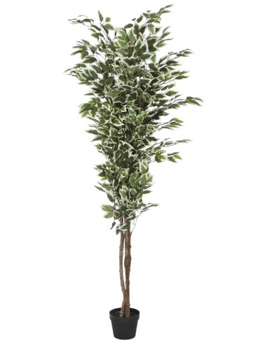 Mākslīgais augs FICUS H180