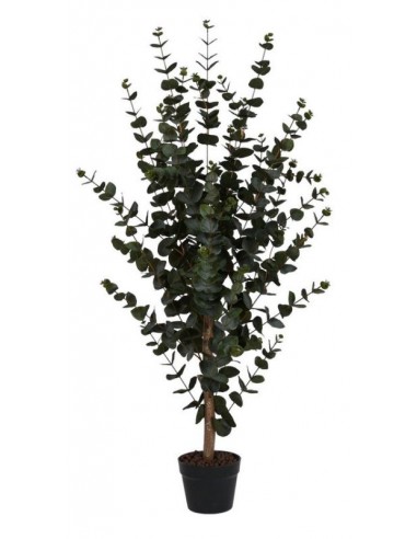 Mākslīgais augs EUCALYPTUS TREE H120