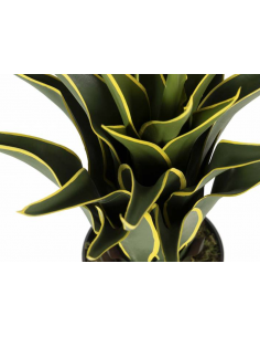 Mākslīgais augs AGAVE H60 2