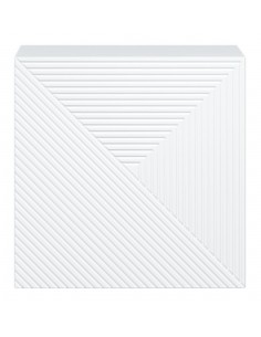 Naktsskapītis TASHA... 2