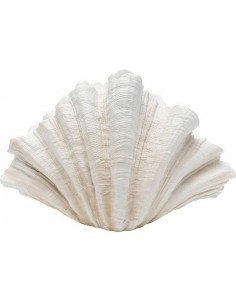 Dekorācija CONCHA 36x36x57h