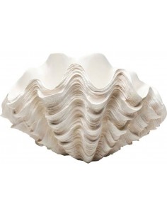 Декорация CONCHA 49x32x29h