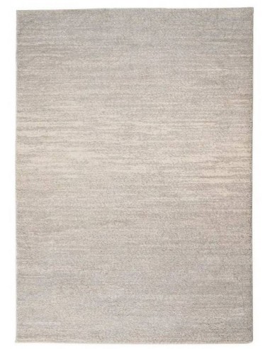 Paklājs JUTE 160x230